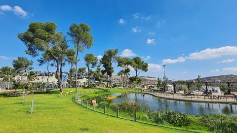 נופארק (1).jpg