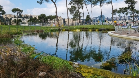 נופארק (7).jpg
